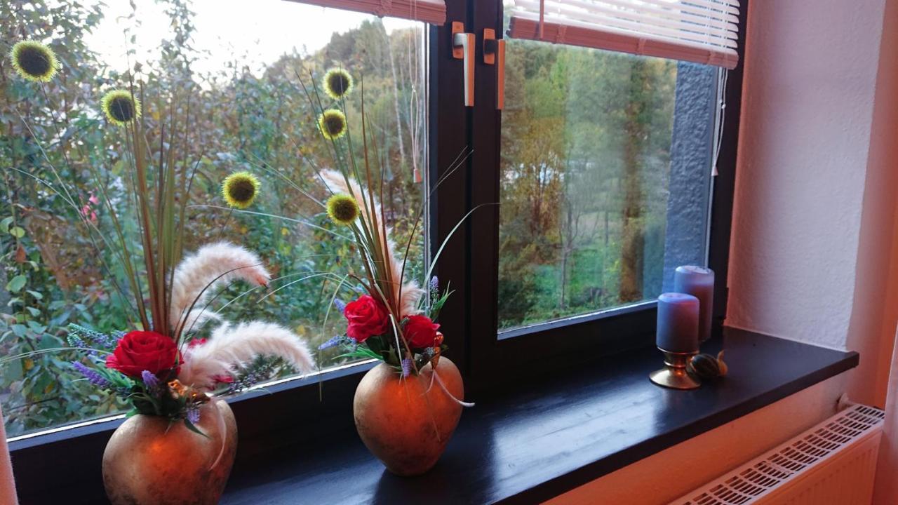 Ferienwohnung Haus Schoeneck Schönecken 外观 照片