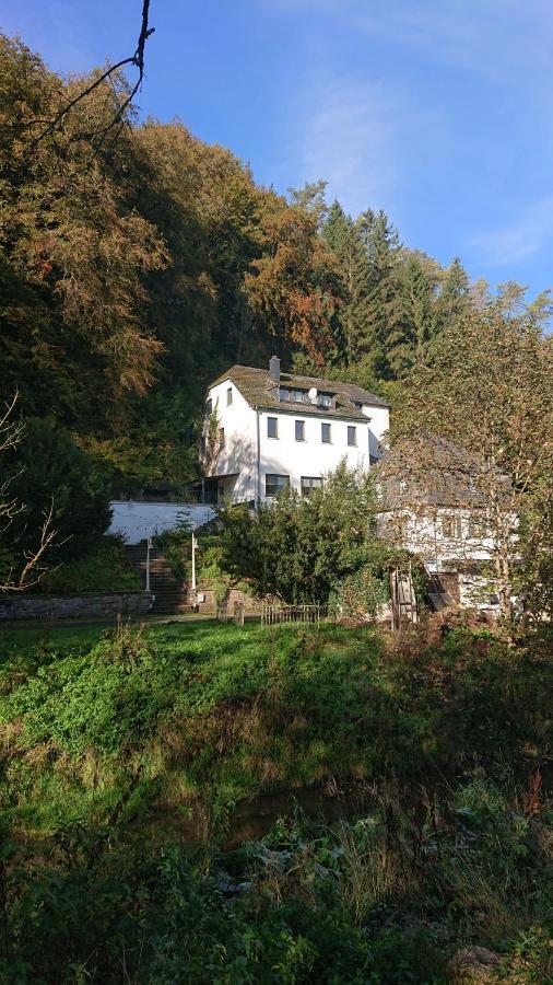 Ferienwohnung Haus Schoeneck Schönecken 外观 照片